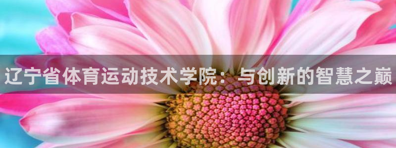 JJB竞技宝官网下载平台注册流程图：辽宁省体育运动技术学院：