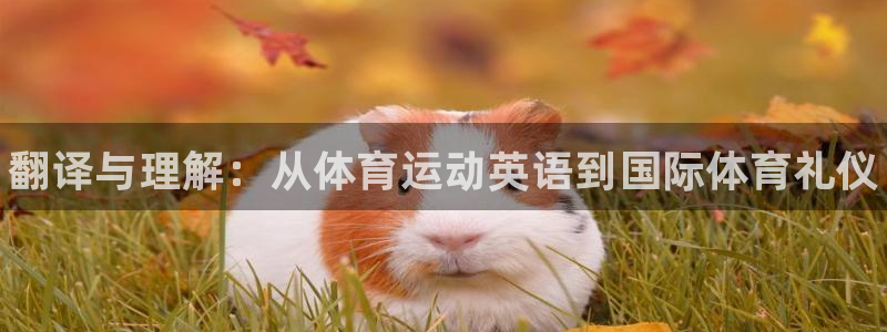 JJB竞技宝官网下载招商电话号码：翻译与理解：从体育运动英语