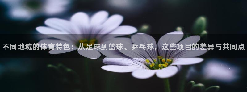 JJB竞技宝官方正版app集团官网首页网址