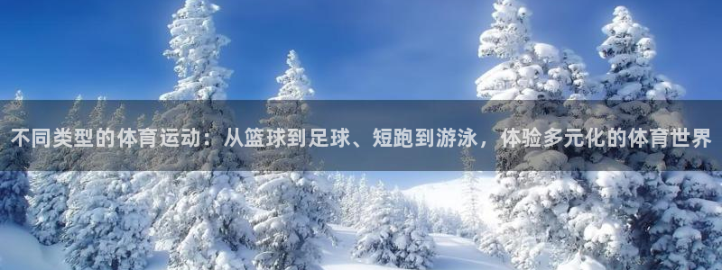 JJB竞技宝官网下载招商电话：不同类型的体育运动：从
