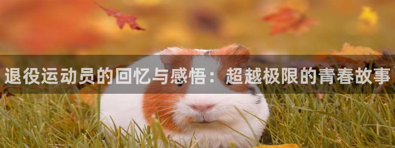 JJB竞技宝官网下载平台是正规平台吗安全吗：退役运动员的回忆