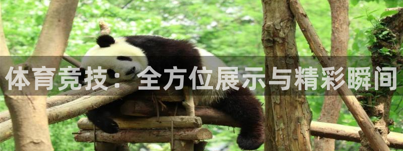 JJB竞技宝官方正版app新能源：体育竞技：全方位展