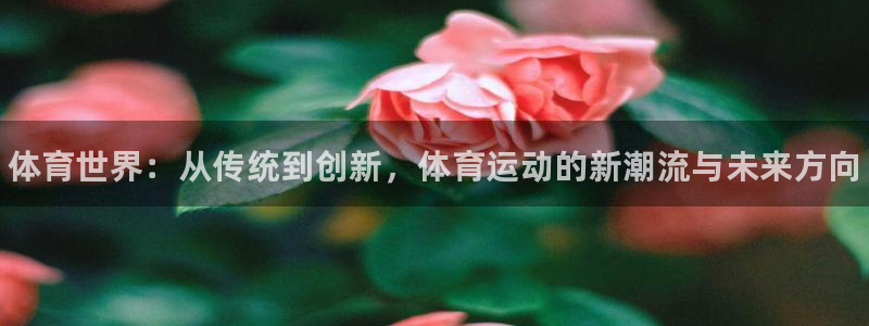 JJB竞技宝官方正版app集团官网首页网址：体育世界：从传统