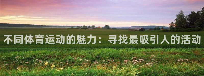 JJB竞技宝官方正版app代理：不同体育运动的魅力：寻找最吸