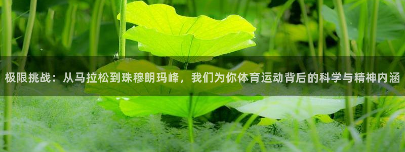 JJB竞技宝官网下载招商电话地址查询：极限挑战：从马