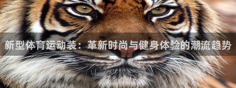 JJB竞技宝官方正版app官方：新型体育运动装：革新时尚与健
