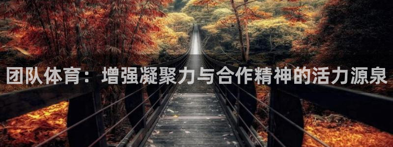 JJB竞技宝官网下载招商电话号码是多少啊：团队体育：