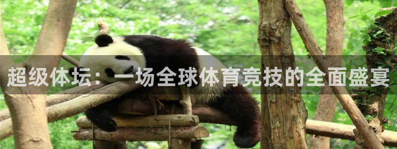 JJB竞技宝官方正版app娱乐：超级体坛：一场全球体育竞技的