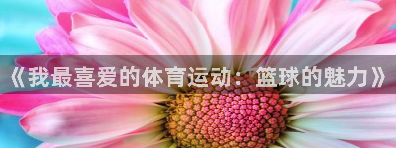 JJB竞技宝官方正版app娱乐下载