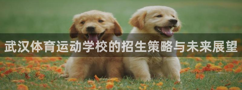 JJB竞技宝官方正版app科技：武汉体育运动学校的招生策略与