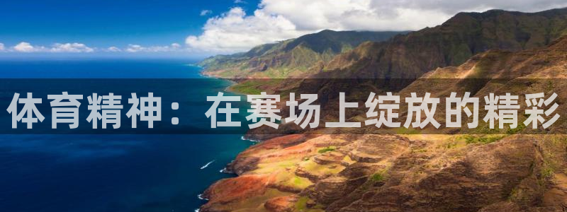 JJB竞技宝官网下载平台假的吗是真的吗：体育精神：在