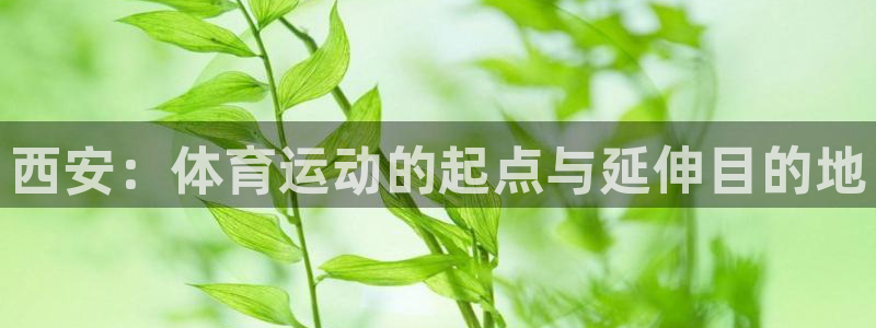 JJB竞技宝官方正版app娱乐是那个系列的台子：西安：体育运