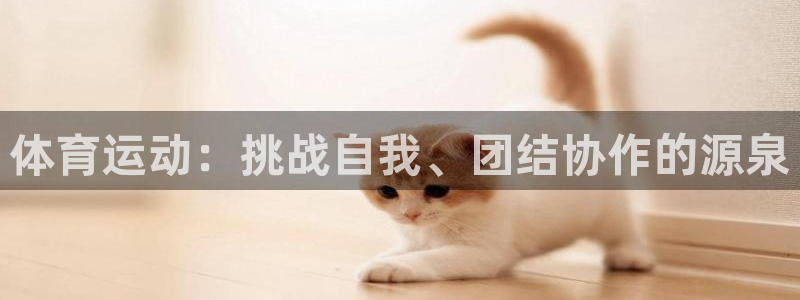 JJB竞技宝官网下载平台注册要钱吗：体育运动：挑战自我、团结