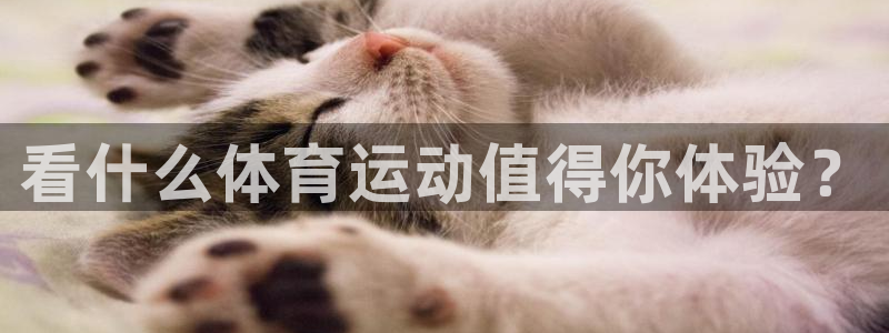 JJB竞技宝官方集团官网：看什么体育运动值得你体验？